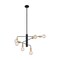 Nuvo Fixture, Chandelier, 6-Lght, Incandescent, 100W, 120V, A19, Medium Bse, Voltage: 120 60/7344 - alternate 2